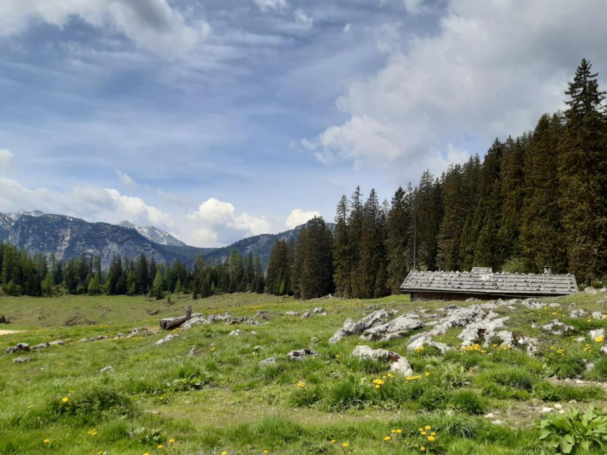 Vintage Kammerl Schönau am Königssee المظهر الخارجي الصورة