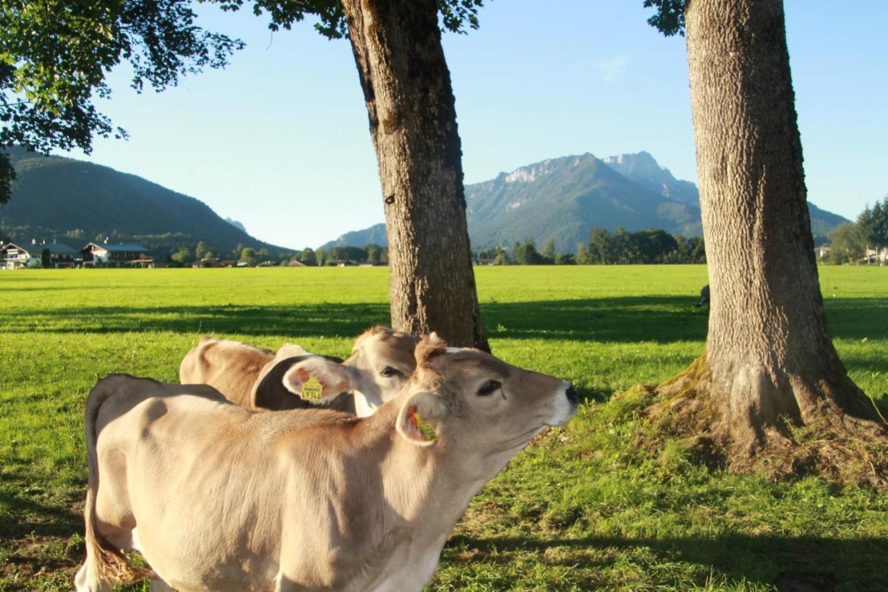 Vintage Kammerl Schönau am Königssee المظهر الخارجي الصورة