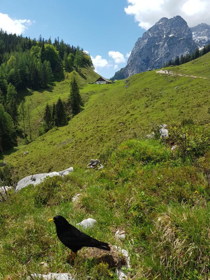 Vintage Kammerl Schönau am Königssee المظهر الخارجي الصورة